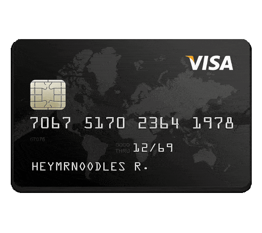 HeyMrNoOdLeS R. Credit Card lolll